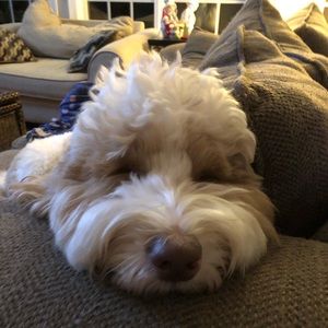 Meet your Posher, Christine